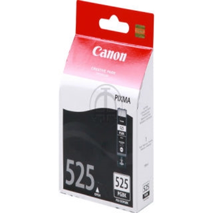 Picture of Canon IP4840 Black Ink