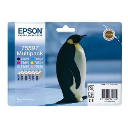 Picture of Epson RX 700 Multipack Ink