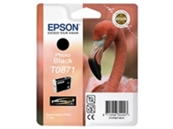 Picture of Epson Stylus R1900 Photo Black ink