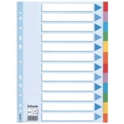 Picture of Esselte A4 Divider12 Tabs CBRD