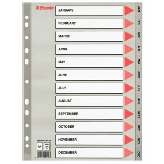 Picture of Esselte A4 Plastic Dividers by Month