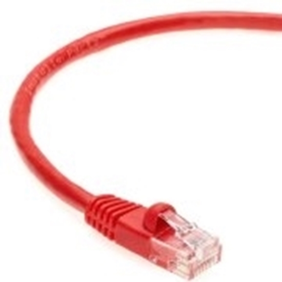 Picture of Ethernet CAT5e 0.25 meters red Cable