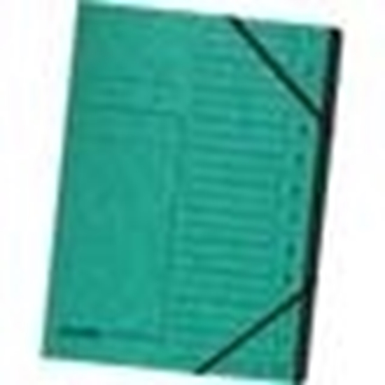 Picture of FalkenFolder Files Plas A4 Green