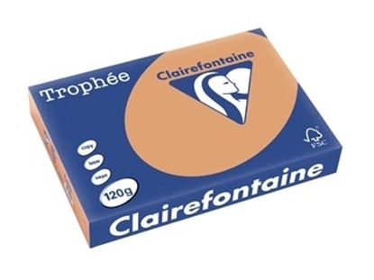 Picture of Trophee A4 Clairfontaine 120gr Caramel 250She