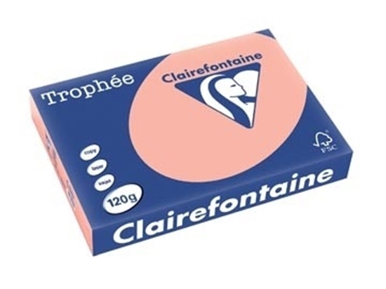 Picture of Trophee A4 Clairfontaine 120gr Peach 250She