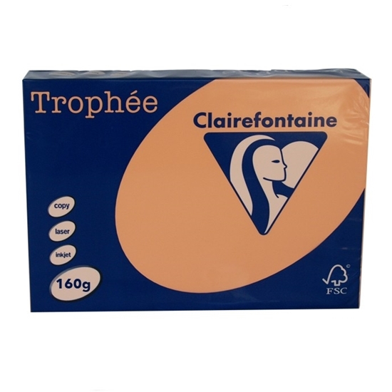 Picture of Trophee A4 80gr Clairfontaine Peach 250 Sheet