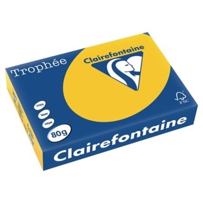 Picture of Trophee A4 80gr Clairfontaine Orange/Gold