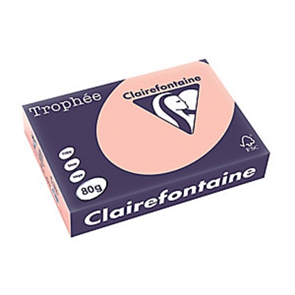 Picture of Trophee A4 Apricot  80gr