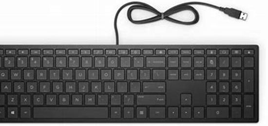 Picture of HP Pavilion Wired Keyboard 300